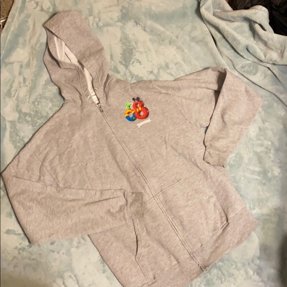 Disneyland zip up